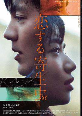 剧情片《山谷来信》海报